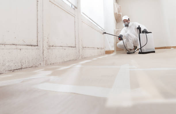 24/7 Emergency Crawl Space Mold Removal experts in Dunedin, FL